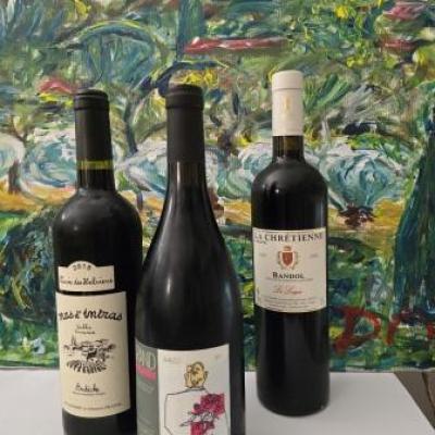C3b terroirs cepages sud