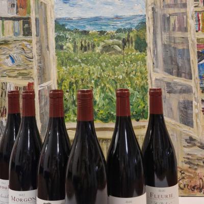 C6b crus beaujolais metrat