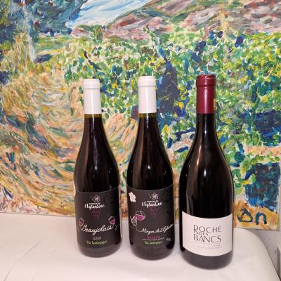 Coffret 3b le gamay bio