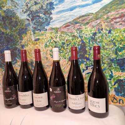 Coffret 6b le gamay