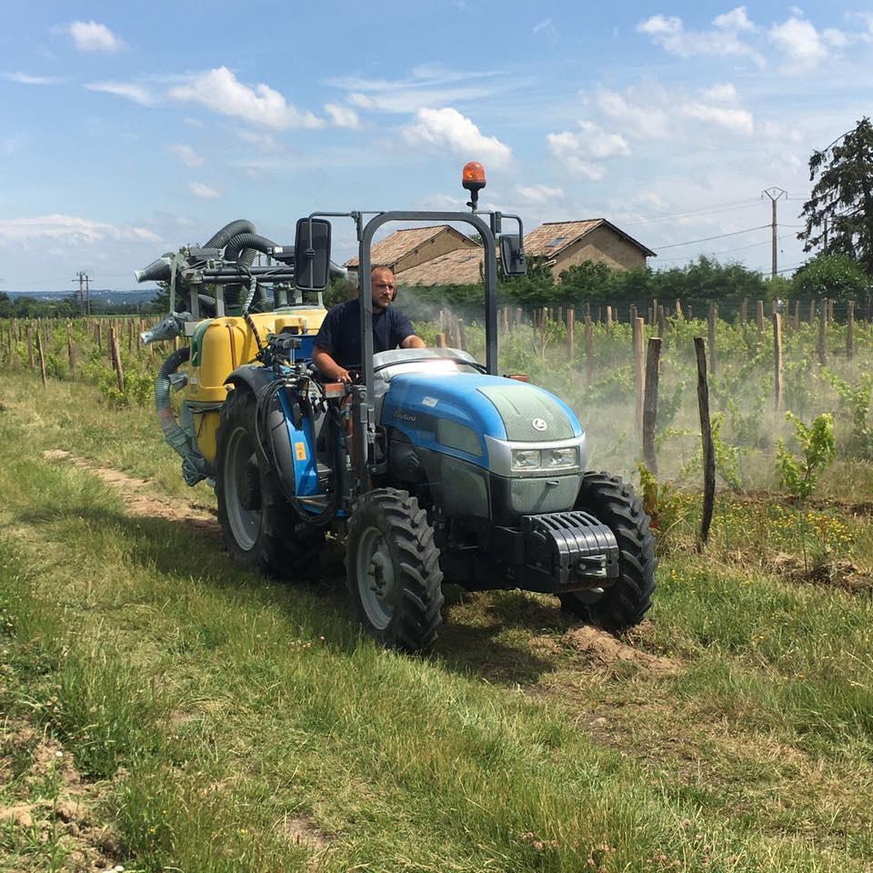 Domaine de l eglantine bio nature morgon bertrand