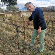 Domaine de mas caron ventoux marc bouton