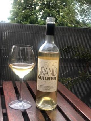 Domaine grand guilhem muscat rivesalte