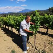 Domaine laurens cotes du rhone village roaix