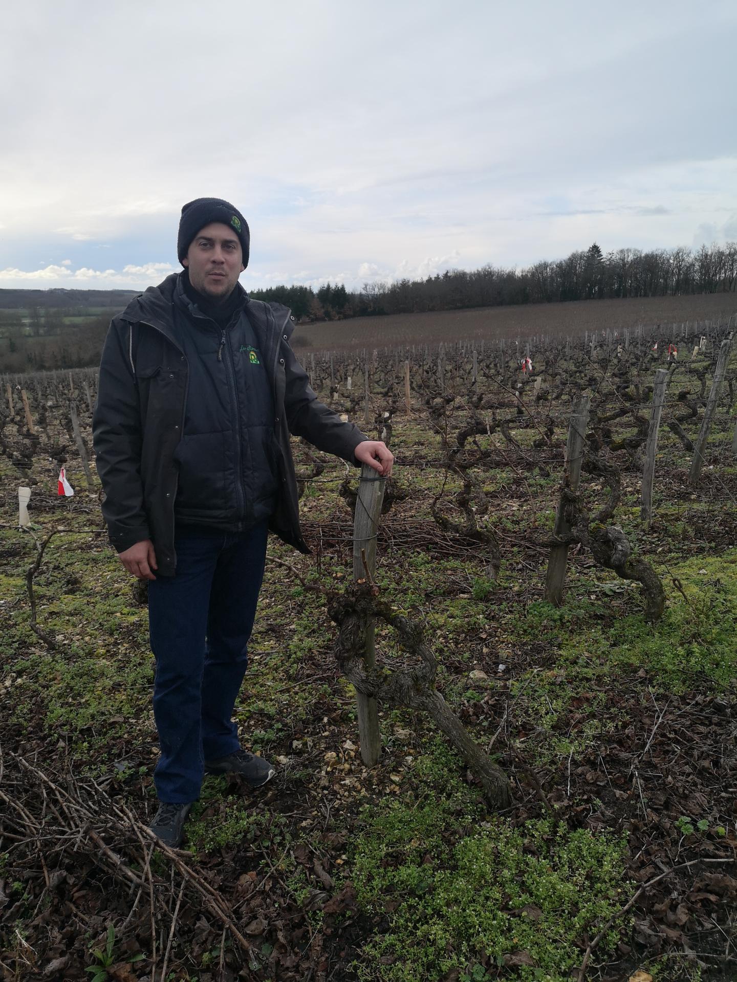 Domaine le pigeonnier vincent guestault montlouis