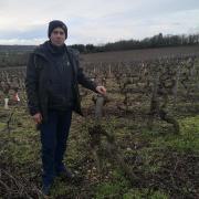 Domaine le pigeonnier vincent guestault montlouis