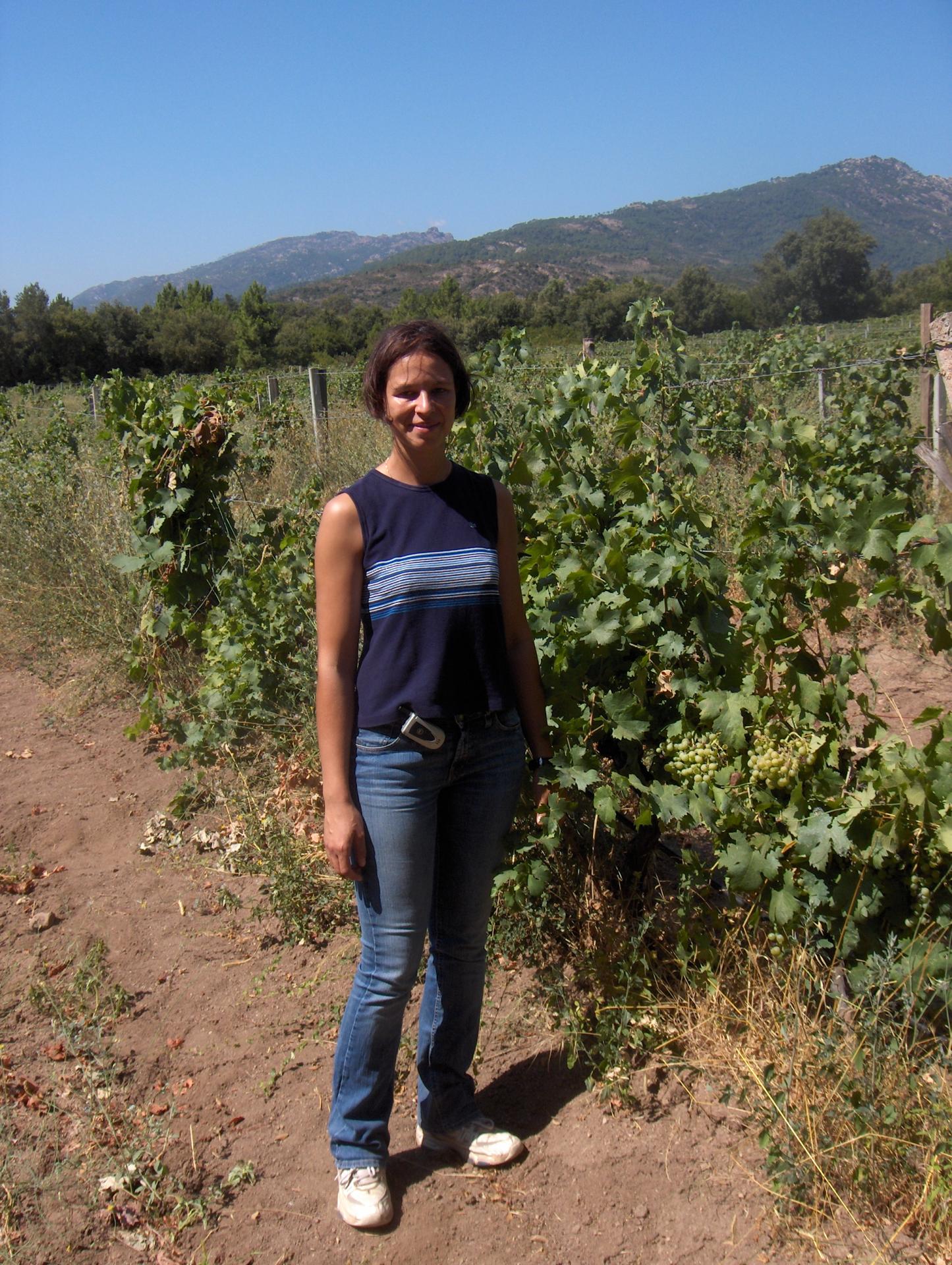 Gwenael boucher domaine de granajolo