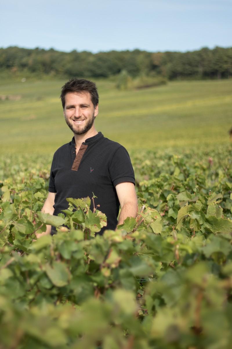 Portrait adrien vignes md 2 800x1200