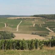 Vignoble champenois aube cote des bars